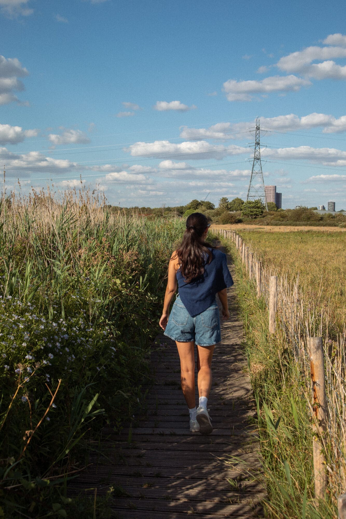 Walthamstow Marshes Guide Field Summer Walk London